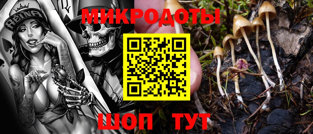 Кстово  Псилоцибиновые грибы Cubensis  Вход с VPN 